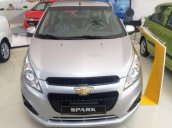 Cần bán Chevrolet Spark LS năm 2017, màu bạc mới 100%, giá chỉ 269 triệu