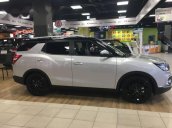 Bán xe Ssangyong TiVoLi XLV sản xuất 2017, màu bạc, nhập khẩu  