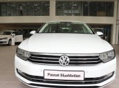 Volkswagen Passat Bluemotion - Đại lý VW Saigon 0933689294 Long