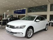 Volkswagen Passat Bluemotion - Đại lý VW Saigon 0933689294 Long