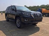 Bán xe Toyota Land Cruiser Prado VX sản xuất 2017, màu đen