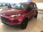 Cần bán xe Ford EcoSport black edition sản xuất 2017, hỗ trợ trả góp 80%