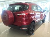 Cần bán xe Ford EcoSport black edition sản xuất 2017, hỗ trợ trả góp 80%