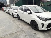 Kia Morning Van 2017 nhập rẻ nhất thị trường, đủ các màu xanh/ đỏ/ trắng/ kem bơ