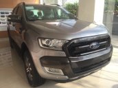 Bán xe Ford Ranger sản xuất năm 2017, màu bạc, nhập khẩu