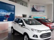 Bán Ford EcoSport năm 2017, màu trắng