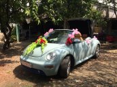 Cần bán lại xe Volkswagen Beetle 2 cửa đăng ký 2007, màu kem (be) nhập từ Nhật, giá chỉ 405 triệu