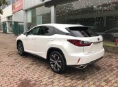 Bán xe Lexus RX350 2018, hồ sơ đăng ký ngay LH: 0904927272