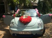 Bán Volkswagen Beetle đời 2007, xe nhập