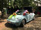 Bán Volkswagen Beetle đời 2007, xe nhập