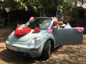 Bán Volkswagen Beetle đời 2007, xe nhập