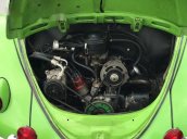 Bán xe Volkswagen Beetle đời 1962, nhập khẩu