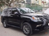 Bán ô tô Lexus GX460 đời 2015, màu đen