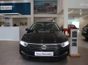 Bán Passat Bluemotion Volkswagen màu nâu - Giá cực kỳ ưu đãi - LH Quang Long 0933689294