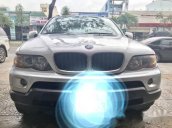 Cần bán gấp BMW X5 3.0 Si đời 2005, màu trắng, nhập khẩu nguyên chiếc