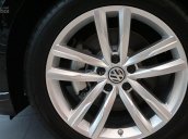 Bán Passat Bluemotion Volkswagen màu nâu - Giá cực kỳ ưu đãi - LH Quang Long 0933689294