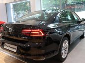 Bán Passat Bluemotion Volkswagen màu nâu - Giá cực kỳ ưu đãi - LH Quang Long 0933689294