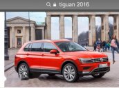 Bán Volkswagen Tiguan đời 2016, màu đỏ, nhập từ Đức