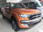 Cần bán xe Ford Ranger đời 2017, màu vàng đồng 