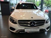 Bán Mercedes GLC250 năm 2018, màu đen