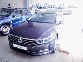 Bán Volkswagen Passat Bluemotion đời 2018, nhập khẩu