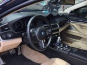 Cần bán lại xe BMW 5 Series 528i đời 2011, nhập khẩu chính chủ