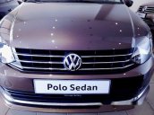 Cần bán Volkswagen Polo đời 2017, màu nâu, xe nhập, 699 triệu