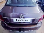 Cần bán Volkswagen Polo đời 2017, màu nâu, xe nhập, 699 triệu