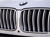 Bán BMW X3 đời 2016, màu trắng