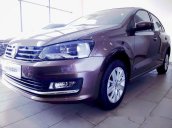 Cần bán Volkswagen Polo đời 2017, màu nâu, xe nhập, 699 triệu