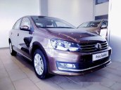 Cần bán Volkswagen Polo đời 2017, màu nâu, xe nhập, 699 triệu