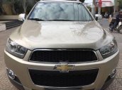 Bán xe Chevrolet Captiva LTZ đời 2013, màu vàng cát