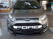 Ford Ecosport VIP Full Option 2017 - Liên hệ ngay - giá cạnh tranh