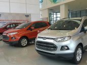 Ford Ecosport VIP Full Option 2017 - Liên hệ ngay - giá cạnh tranh