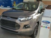 Ford Ecosport VIP Full Option 2017 - Liên hệ ngay - giá cạnh tranh