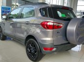 Ford Ecosport VIP Full Option 2017 - Liên hệ ngay - giá cạnh tranh