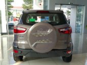 Ford Ecosport VIP Full Option 2017 - Liên hệ ngay - giá cạnh tranh