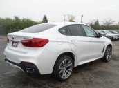 Bán BMW X6 XDrive 35i năm 2017, màu đen