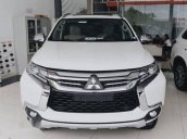 Bán Mitsubishi Pajero đời 2018, màu trắng