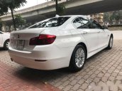 Bán BMW 5 Series 520i năm 2014, màu trắng