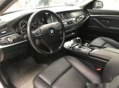 Bán BMW 5 Series 520i năm 2014, màu trắng