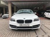 Bán BMW 5 Series 520i năm 2014, màu trắng