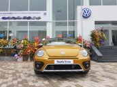 Bán Volkswagen New Beetle năm 2017, màu xám (ghi), xe nhập