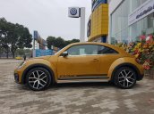 Bán Volkswagen New Beetle năm 2017, màu xám (ghi), xe nhập