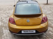 Bán Volkswagen New Beetle năm 2017, màu xám (ghi), xe nhập