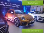 Bán Volkswagen New Beetle năm 2017, màu xám (ghi), xe nhập