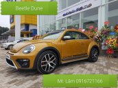 Bán Volkswagen New Beetle năm 2017, màu xám (ghi), xe nhập