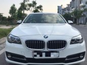 Bán BMW 5 Series 520i AT đời 2013, màu trắng, nhập khẩu  