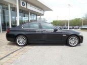 Bán ô tô BMW 5 Series 528i xDrive 2017, màu đen, nhập khẩu