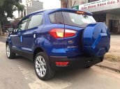 Bán xe Ford EcoSport đời 2018, màu xanh lam, 658 triệu